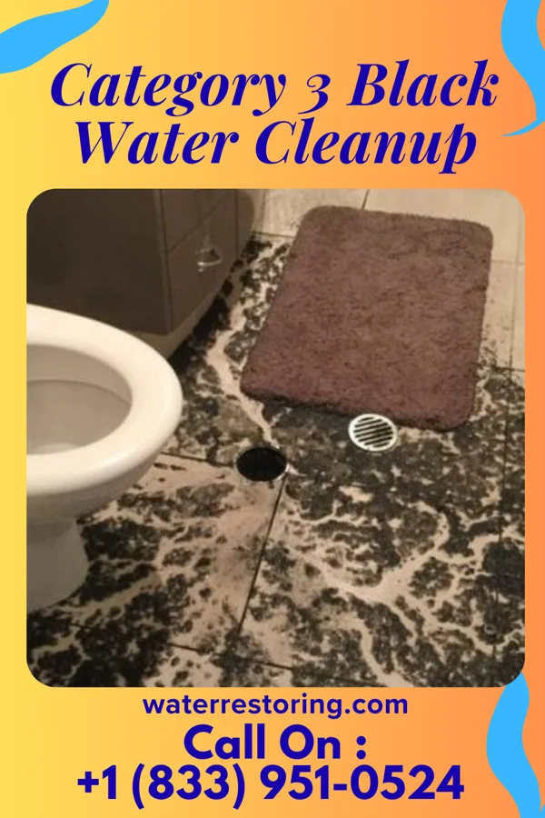 Category 3 Black Water Cleanup in Martin, MI