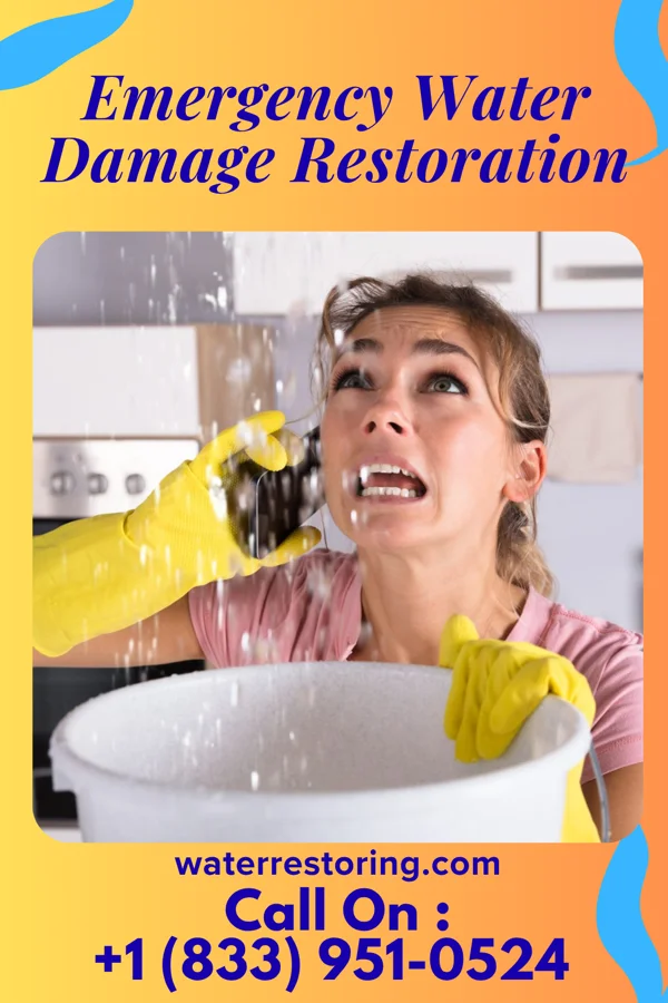 Emergency Water Damage Restoration in Martin, MI