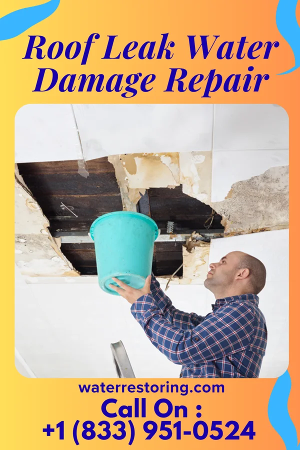 Roof Leak Water Damage Repair in Martin, MI